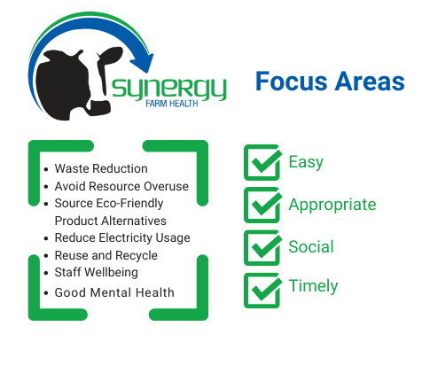 Synergy Action Plan