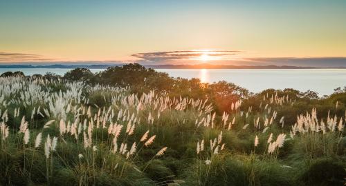 New Zealand sunrise