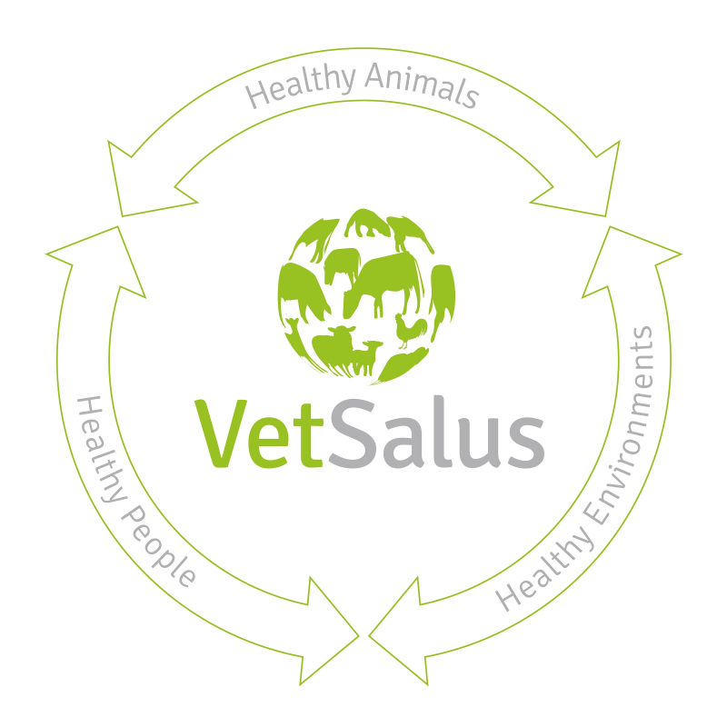 VetSalus One Health logo